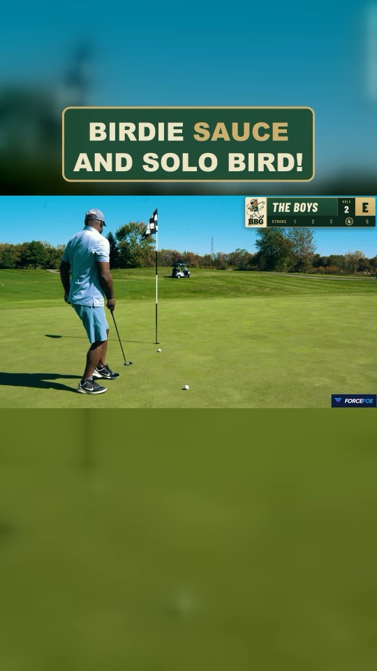 Birdie Sauce And Solo Bird!